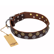 Brown Leather Dog Collar with Studs "Strong Shields" FDT Artisan