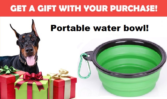 GIFT