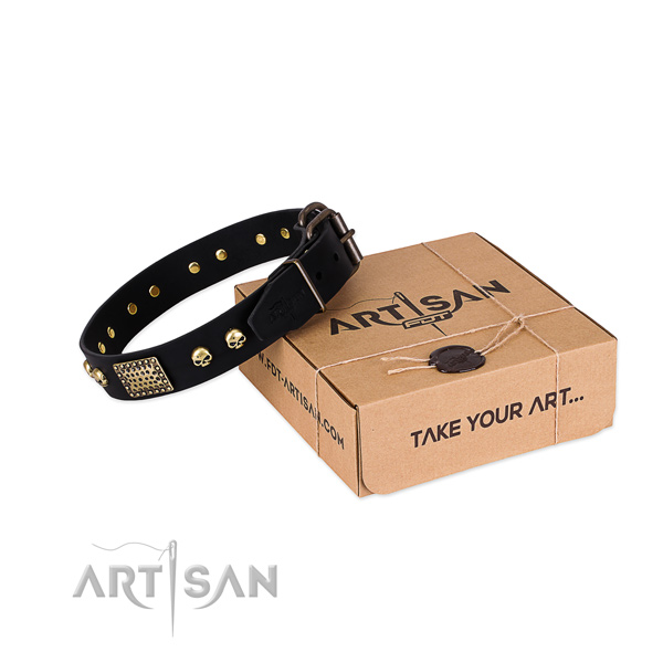 Leather Dog Collars for Big Dogs