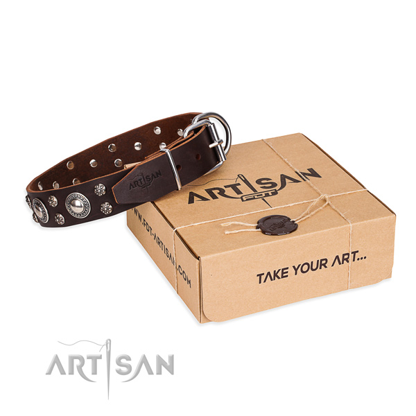 Brown Leather Dog Collar with a Gift Box