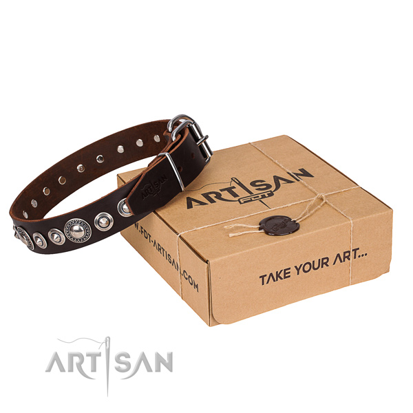 Glamorous Dog Collar with a Nice Box