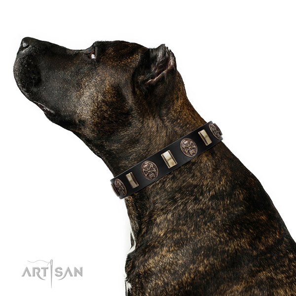 Black Leather Dog Collar Brass Decorated