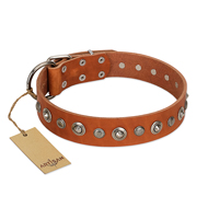 Good Quality Leather Dog Collar "Charming Garden" by Artisan Good Quality Leather Dog Collar "Charming Garden" by Artisan