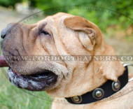 Vintage Dog Collar with Medals for Sharpei