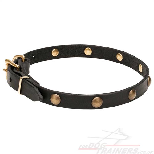 Leather Studded Dog Collars UK