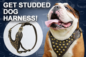 Leather Dog Harness