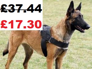 The Best Nylon Dog Harness