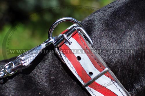 Hand Painted Leather Dog Collars