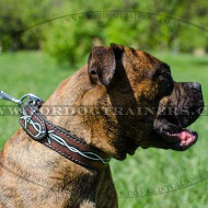 Boxer Dog Training Collar