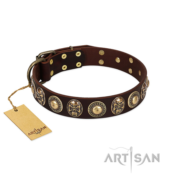 brown studded dog collar from Artisan