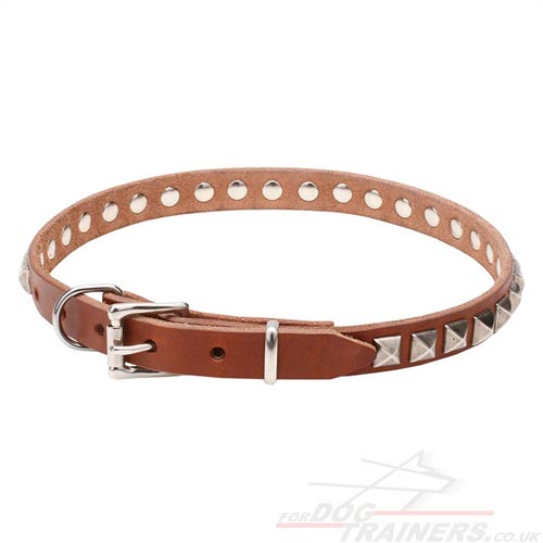 handmade collars for dogs