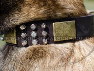 spiked dog collars