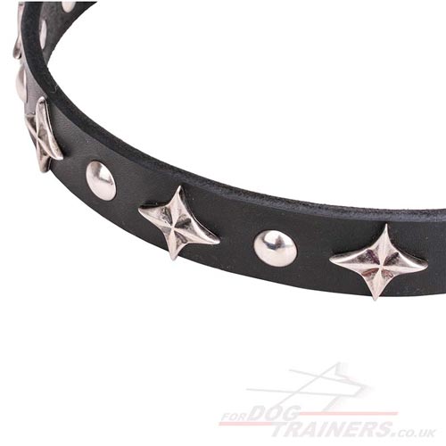 Leather Dog Collar with Studs