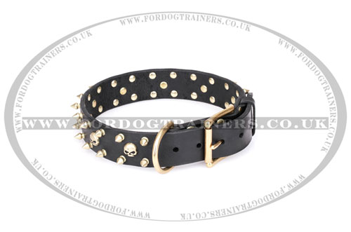 skull dog collar from Artisan