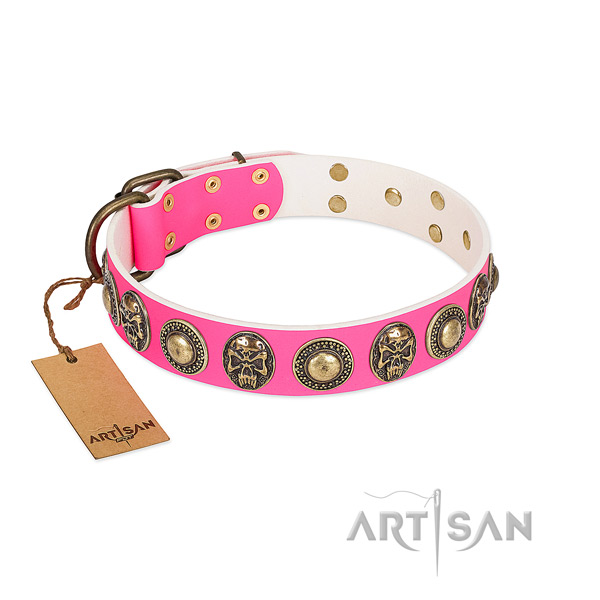 Chic Skull Studded Dog Collar by FDT Artisan