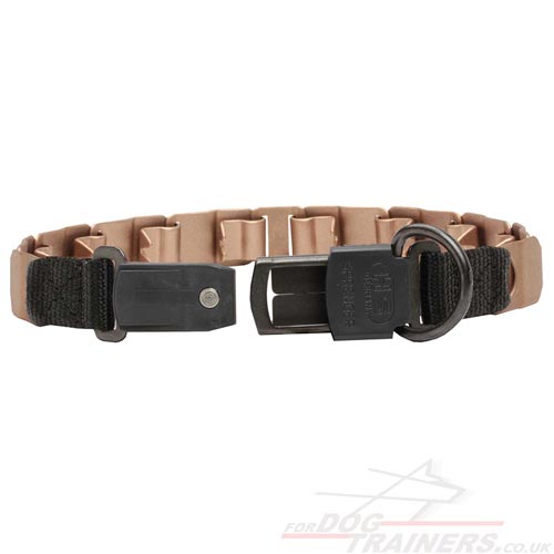 Curogan Dog Collar with Buckle