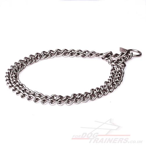 metal dog collar buy uk