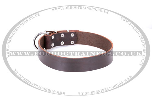 brown adjustable leather dog collar
