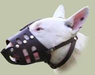 Leather Dog Muzzle for Bull Terrier Daily | Dog Muzzles UK Leather Dog Muzzle for Bull Terrier Daily | Dog Muzzles UK