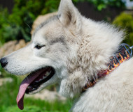 Hand Painted Leather Dog Collar For Husky