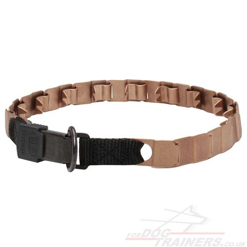 Dog Metal Collar with Lock