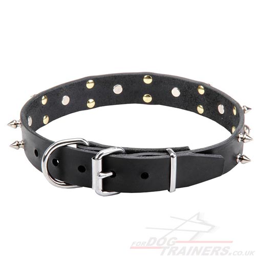 handmade dog collar uk