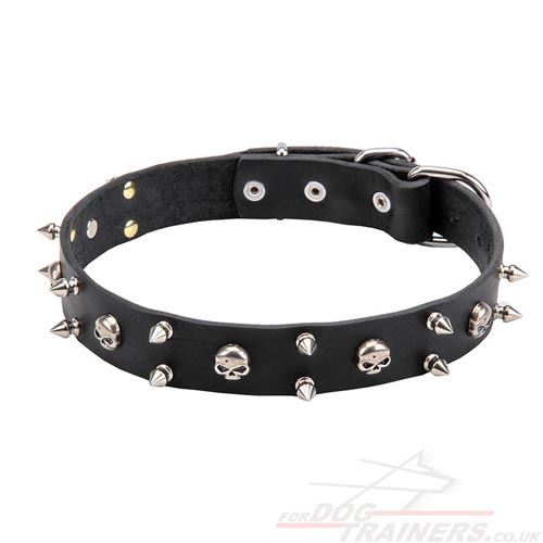 handmade dog collar with buckle