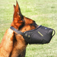 K9 Belgian Malinois Muzzle: The Most Humane Dog Muzzle