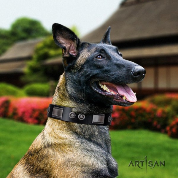 Large Black Leather Dog Collar for Belgian Malinois UK