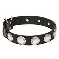 Antique Studded Dog Collars for Large Dogs "Moonlight"