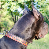 Large Dog Collar for Great Dane with Painting Flame