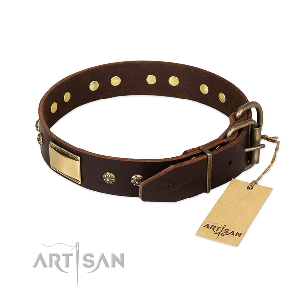 Strong Leather Dog Collar with Brass Buckle
