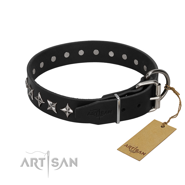 Large Dog Collar with Metal Buckle