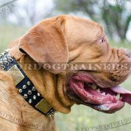 Dog De Bordo Fashion Collar | Dogue De Bordeaux Dog Collar