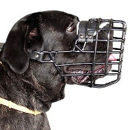 Large Dog Muzzle for Cane Corso | Cane Corso Muzzle
Rubberized