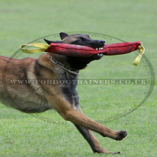 large dog tug for bite training