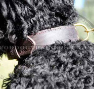 Large Leather Dog Collar for Strong Dog Control