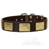 Large Strong Dog Collar With Vintage Massive Brass Plates