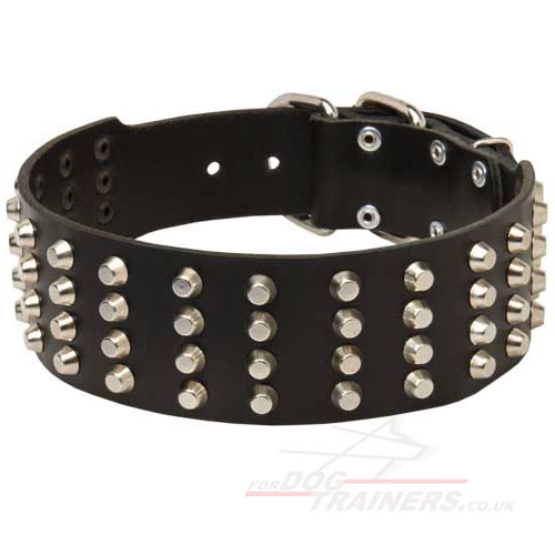 Wide Dog Collars with Glancing Studs | 2" Dog Collar Studded