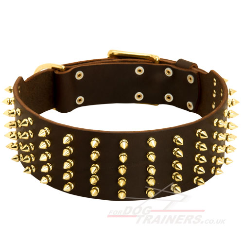 3" Dog Collar With Brass Fitting - Click Image to Close