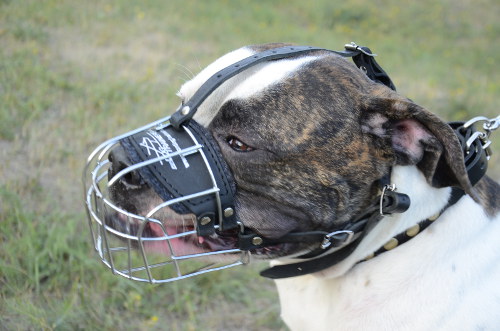 Basket American Bulldog Muzzle UK Best Seller