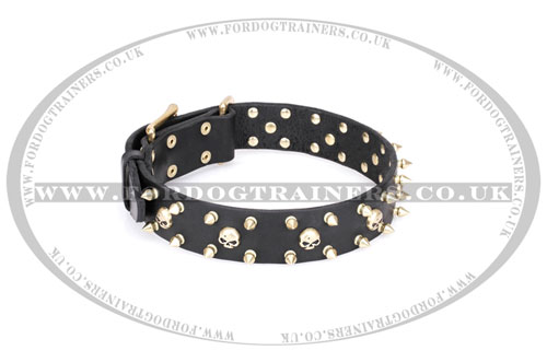 Wide Leather Dog Collar with Skulls and Spikes from FDT Artisan