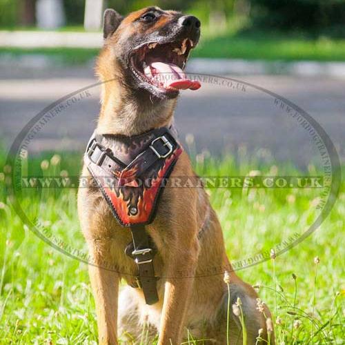 Belgian Shepherd Malinois Dog Harness "Flame"