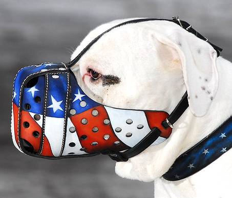 American Bulldog Muzzle with Painting American bulldog muzzle