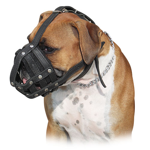 Leather dog muzzle for Boxer