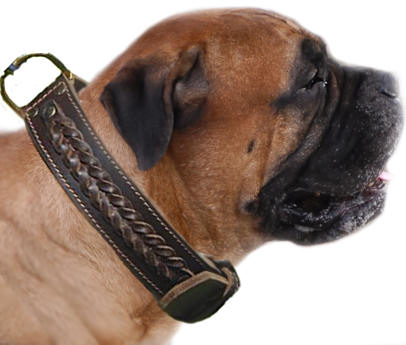 Bullmastiff Dog Collar | Braided Leather Dog Collar for Big Dog - Click Image to Close