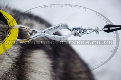 Strong Nylon Husky Dog Collar with Handle