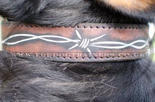 Designer Dog Collars for Swiss Mountain Dogs with Hand-Painting - Click Image to Close