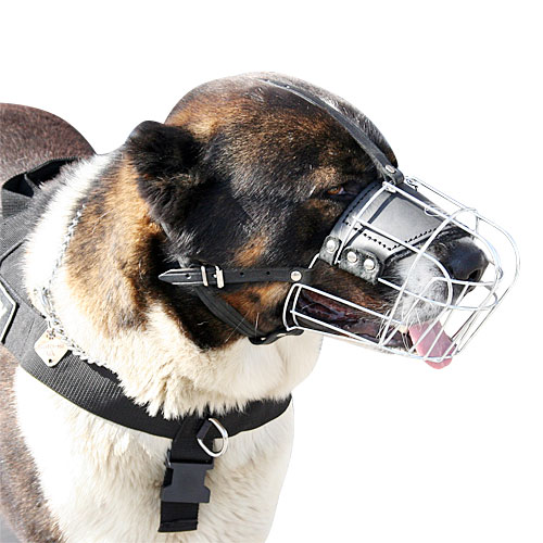 Caucasian Shepherd Muzzle UK | Wire Basket Dog Muzzle - Click Image to Close