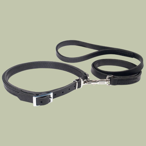 Police / hunting dog lead and collar (Combo)